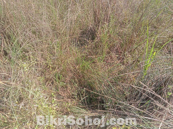 Land sell in mirpur kaundia